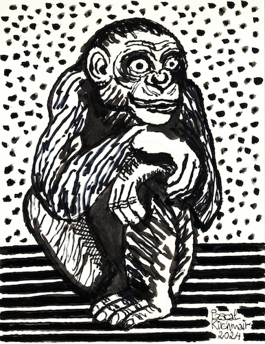 Cartoon: Schimpanse (medium) by Pascal Kirchmair tagged affe,monkey,ape,primat,scultura,singe,machango,mono,scimmia,macao,sculpture,skulptur,illustration,ink,drawing,zeichnung,pascal,kirchmair,cartoon,caricature,karikatur,ilustracion,dibujo,desenho,ilustracao,illustrazione,illustratie,dessin,de,presse,tekening,teckning,cartum,vineta,comica,vignetta,caricatura,tusche,tuschezeichnung,portrait,retrato,porträt,ritratto,art,arte,kunst,artwork,encre,chine,tinta,china,inchiostro,nanquim,painting,pintura,peinture,dipinto,malerei,pittura,escultura,affe,monkey,ape,primat,scultura,singe,machango,mono,scimmia,macao,sculpture,skulptur,illustration,ink,drawing,zeichnung,pascal,kirchmair,cartoon,caricature,karikatur,ilustracion,dibujo,desenho,ilustracao,illustrazione,illustratie,dessin,de,presse,tekening,teckning,cartum,vineta,comica,vignetta,caricatura,tusche,tuschezeichnung,portrait,retrato,porträt,ritratto,art,arte,kunst,artwork,encre,chine,tinta,china,inchiostro,nanquim,painting,pintura,peinture,dipinto,malerei,pittura,escultura