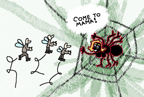 Cartoon: Vorsicht Falle (medium) by Pascal Kirchmair tagged spinne,araignee,spider,spinnennetz,fliegen,mouches,fangen,locken,verlockung,verlockend,falle,vorsicht,cobweg,spiderweb,toile