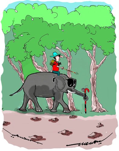 Cartoon: Blind leading blind (medium) by kar2nist tagged blind,africa,safari