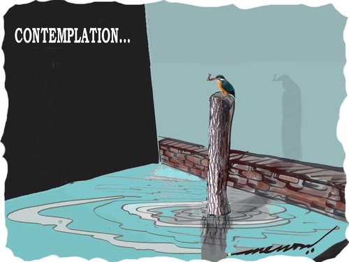 Cartoon: Contemplation (medium) by kar2nist tagged king,fisher,3d