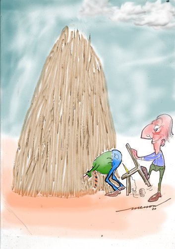 Cartoon: Hey I got that Needle (medium) by kar2nist tagged in,for,looking,haystack,needle