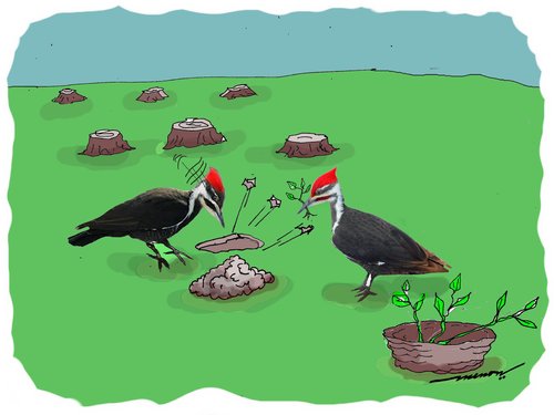 Cartoon: World Environment Day (medium) by kar2nist tagged world,environment,woodpecker,felling,trees,planting,saplings