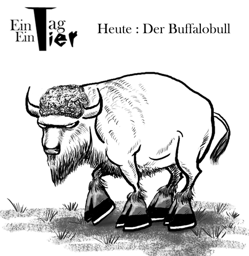 Cartoon: Der Buffalobull (medium) by Mistviech tagged böse,büffel,plateauschuhe,schuhe,buffalo,natur,tiere
