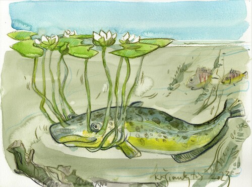 Cartoon: Mill Pond Catfish (medium) by Kestutis tagged pond,mill,summer,fish,kestutis,lithuania