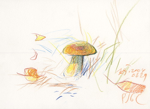 Cartoon: Mushrooms. Pilze. Grybai (medium) by Kestutis tagged kestutis,nature,sketch,mushrooms,pilze,siaulytis,lithuania,summer,autumn