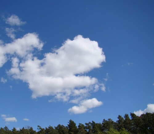 Cartoon: Summer clouds. Cachalot (medium) by Kestutis tagged summer,cloud,cachalot,kestutis,lithuania,observagraphics