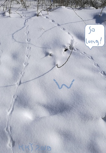 Cartoon: Winter says goodbye (medium) by Kestutis tagged winter,goodbye,observagraphics,kestutis,lithuania