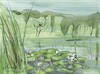 Cartoon: By the forest lake (small) by Kestutis tagged sketch,summer,forest,lake,art,kunst,kestutis,lithuania