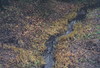 Cartoon: Herbst Fluss Brücke (small) by Kestutis tagged dada postcard comic autumn apple apfel snake herbst fluss briefmarke expressionismus river brücke art kunst kestutis lithuania