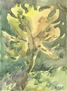Cartoon: Summer etudes. Yellow tree (small) by Kestutis tagged summer etudes yellow tree sketch kestutis lithuania watercolor