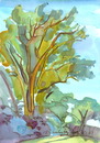 Cartoon: TREES (small) by Kestutis tagged trees bäume lithuania kestutis
