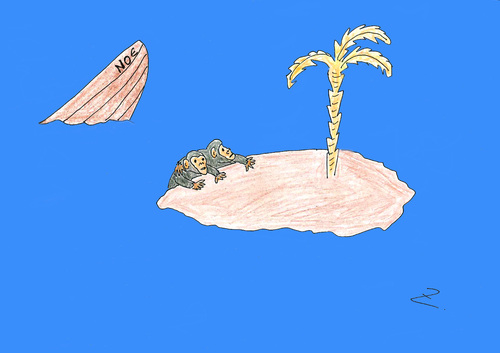 Cartoon: noe-shipwreck (medium) by Zoran tagged noe,shipwreck,rescue,earth
