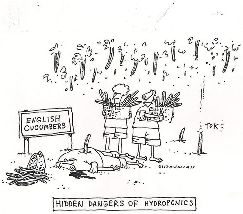 Cartoon: hydroponics (medium) by ouzounian tagged accidents,danger,vegetables,cucumbersfarming,hydroponics