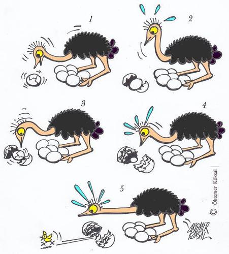 Cartoon: Fünf Bilder Geschichte (medium) by okoksal tagged straus,gags