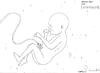 Cartoon: future? (small) by James tagged baby,tech,technology,future,born,new