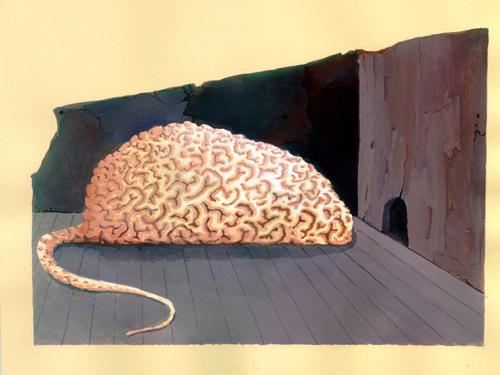 Cartoon: Mouse Brain (medium) by luka tagged mouse