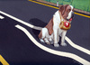 Cartoon: Help on the road (small) by luka tagged help