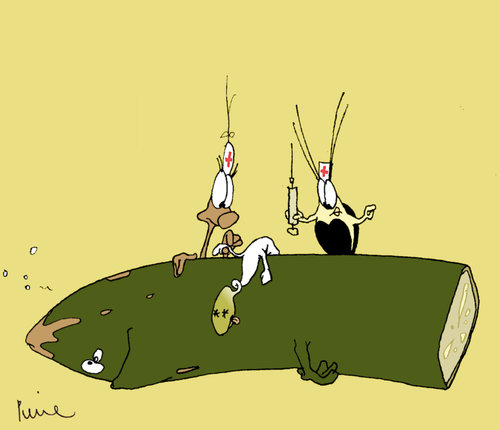 Cartoon: EHEC - nun Sprossenfieber? (medium) by Pierre tagged ehec,epidemie,sprossen,gurken