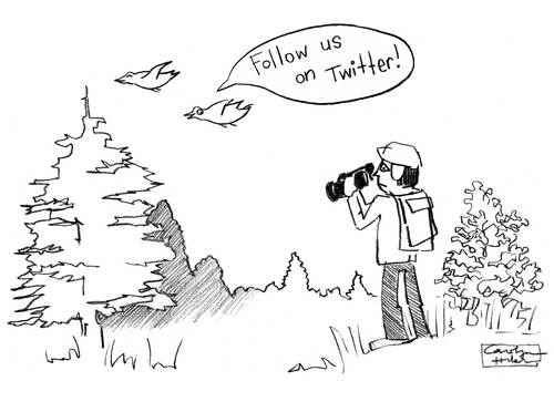 Cartoon: Twitter request (medium) by a zillion dollars comics tagged internet,twitter,nature,animals,birds,computer,culture