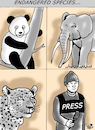 Cartoon: ENDANGERED SPECIES... (small) by Vejo tagged war,press,reporters,journalists,beirut,lebanon,israel