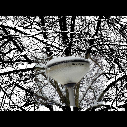 Cartoon: MH - It is Snowing! 8 (medium) by MoArt Rotterdam tagged tags,rotterdam,snow,sneeuw,snowfever,sneeuwkoorts,trees,bomen,whitenature,ondergesneeuwd,frozen,bevroren,cold,koud,winter,lantaarnpaal,lamppost