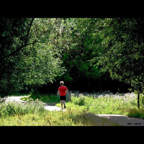 Cartoon: MH - The Running Man (medium) by MoArt Rotterdam tagged rotterdam,running,jogging,man,rennen,joggen,nature,natuurschoon,trees,bomen,red,rood