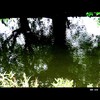 Cartoon: MH - Something in the Water... (small) by MoArt Rotterdam tagged rotterdam water dark mysterious reflection reflectie weerspiegeling trees bomen
