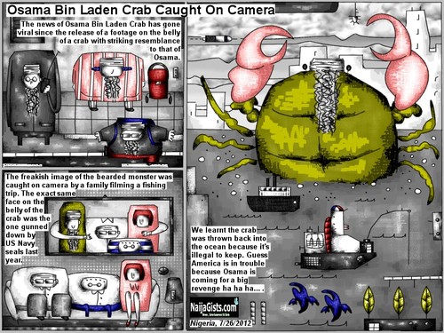 Cartoon: osama bin laden crab (medium) by bob schroeder tagged bin,osama,laden,monster,crab,camera,fishing,sea,lookalike,face,belly,navy,seals,return,revenge