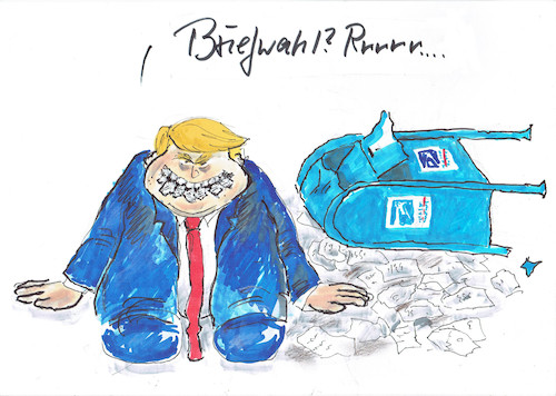 Cartoon: Briefwahl (medium) by Skowronek tagged usa,wahl,präsident,jo,biden,trump,senat,kongress,amerika,corona