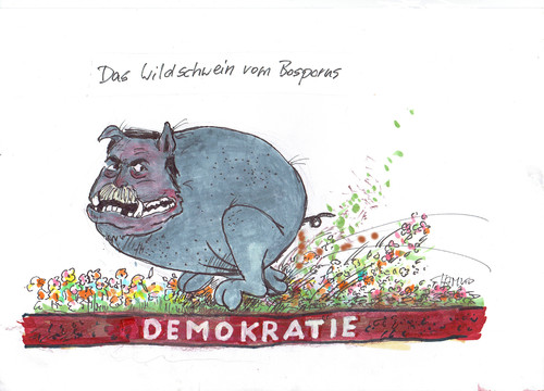 Cartoon: Erdogan (medium) by Skowronek tagged türkei,demokratie,diktatur,schwein,wildschwein