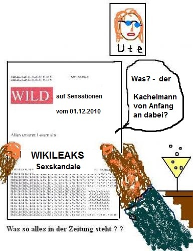 Cartoon: Wikileaks Sexskandale (medium) by Ernst Alter tagged wikileaks,skandal