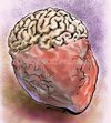 Cartoon: Brain-Heart (small) by Bob Row tagged brain,heart,intelligence,sensibility,emotions,philosophy,psychology