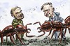 Cartoon: Hölldobler and Wilson (small) by Bob Row tagged science ants superorganism entomology sociobiology