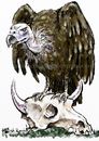 Cartoon: Vulture (small) by Bob Row tagged birds,vulture,financial,speculators