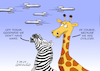 Cartoon: ANIMALS DO NOT GO TO WAR. (small) by Cartoonarcadio tagged animals,humans,conflicts,wars