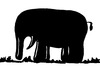 Cartoon: Elephant (small) by Any tagged natur,tiere