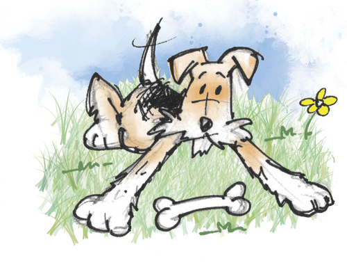 Cartoon: Rufus - continued! (medium) by east coast cartoons tagged dog,wire,hair,fox,terrier