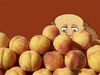 Cartoon: Peaches (small) by Steve B tagged peaches,malta