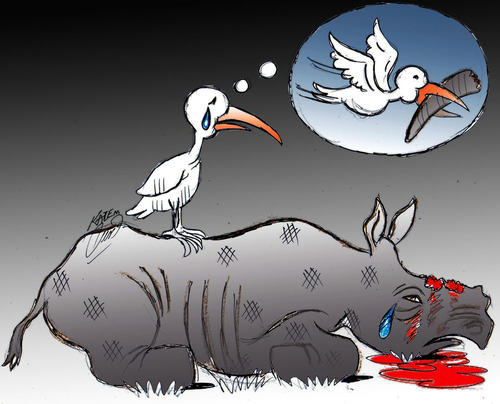 Cartoon: Rhino (medium) by Hossein Kazem tagged rhino