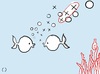 Cartoon: three in fish (small) by parentheses tagged fish,three,play,sea,bubbles
