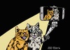 Cartoon: Doing a Selfy (small) by tonyp tagged arp selfy selfi photo cats cat