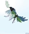 Cartoon: magpie of peace (small) by LeeFelo tagged magpie,webd,beak,fether,black,ink,white,blue,green,scribble,bird,pica