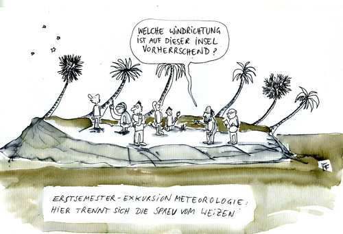 Cartoon: Windrichtung (medium) by Florian France tagged meteorolgie,palmen,windrichtung