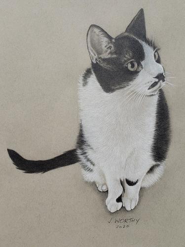 Cartoon: Cat (medium) by jim worthy tagged cat,kitty,animal,feline,pet