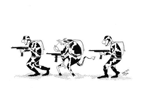 Cartoon: Soldiers (medium) by van der Tipa tagged soldiers,war,cow,attack