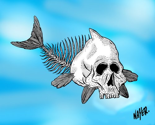 Cartoon: evolution (medium) by Nayer tagged evolution,darwin,darwinism,god,fish,skull