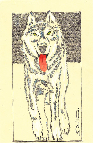 Cartoon: Wolf (medium) by zed tagged wolf,animal,global,warming