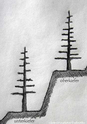 Cartoon: kiefer (medium) by schmidibus tagged kiefer