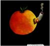 Cartoon: The_apple_knows_too! (small) by firuzkutal tagged smoking,nonsmoker,cigarette,cigar,flower,despot,despotism,selfish,suppressing,manipulative,package,apple,violence,child,prison