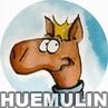 huemulin's avatar